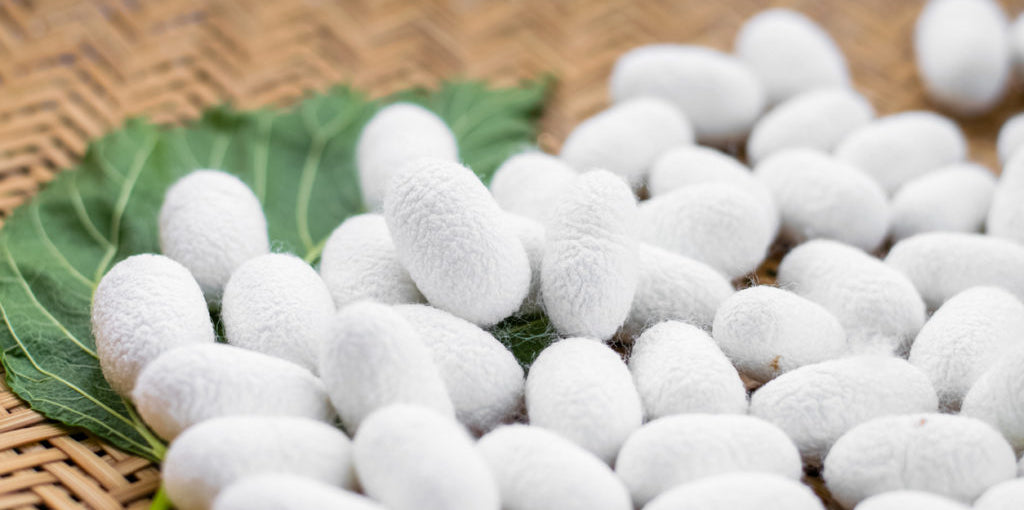 Der Unterschied zwischen Maulbeerseide und anderen Seiden