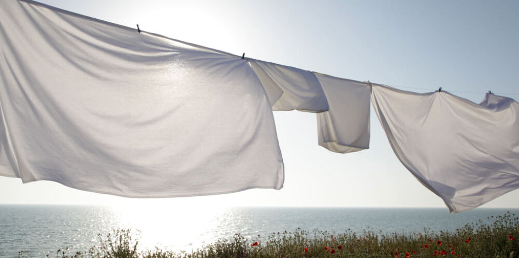 Können Sie Seidenlaken trocknen?