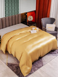 SilkSilky DE 25Momme Reine Seide Duvet Cover Champagner 004