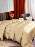 SilkSilky DE 22Momme Reine Seide Duvet Cover Beige 002