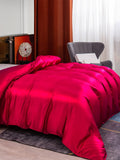 SilkSilky DE 25Momme Reine Seide Duvet Cover Rotwein 001