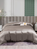 SilkSilky DE 25Momme Reine Seide Duvet Cover Grau 001