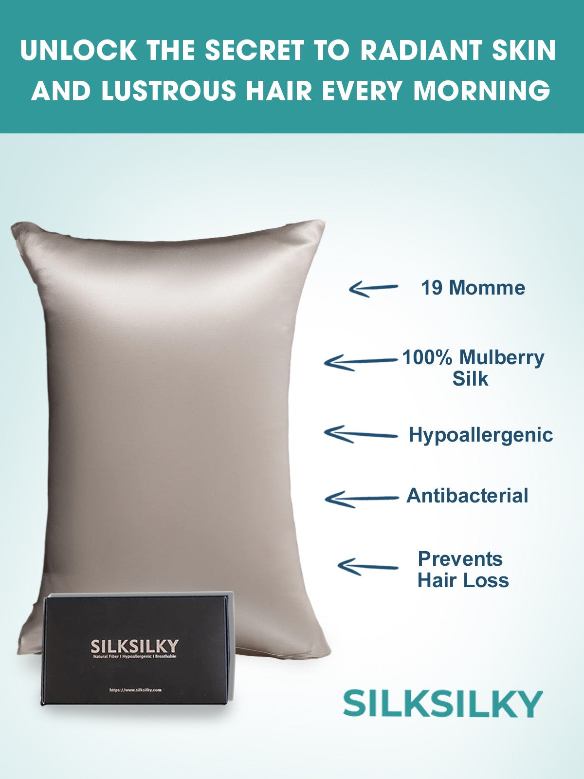 [Grau] SilkSilky-DE 19Momme Reine Seide Pillowcase 002