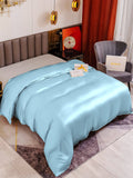 SilkSilky DE 19Momme Reine Seide Duvet Cover Hellblau 001