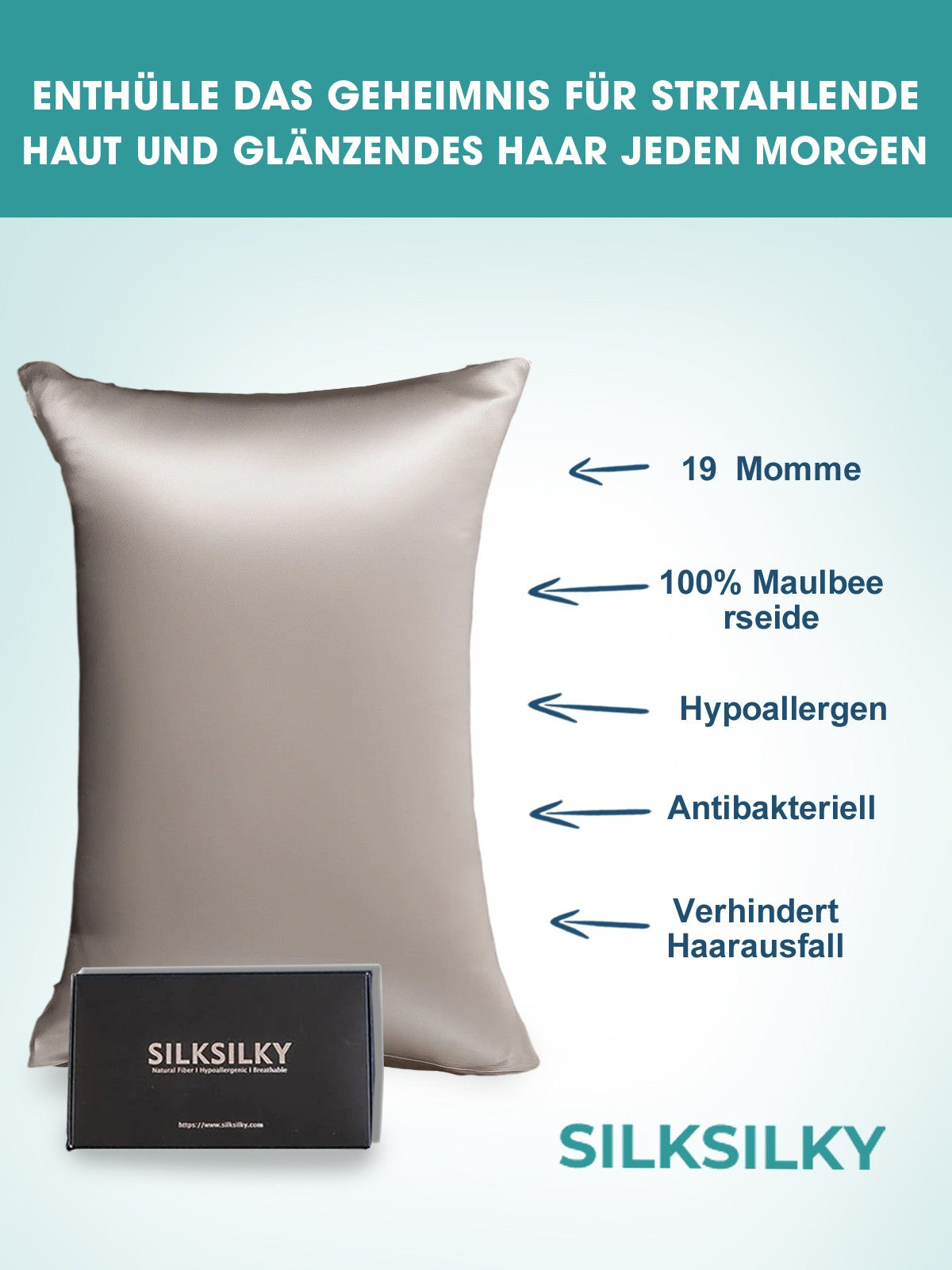 [Grau] SilkSilky-DE 19Momme Reine Seide Pillowcase 002