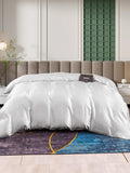 SilkSilky DE 25Momme Reine Seide Duvet Cover Silber 003