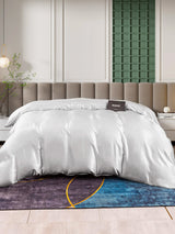 [Silber] SilkSilky-DE 25Momme Duvet Covers 002