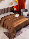 SilkSilky DE 19Momme Reine Seide Duvet Cover Kaffee 001