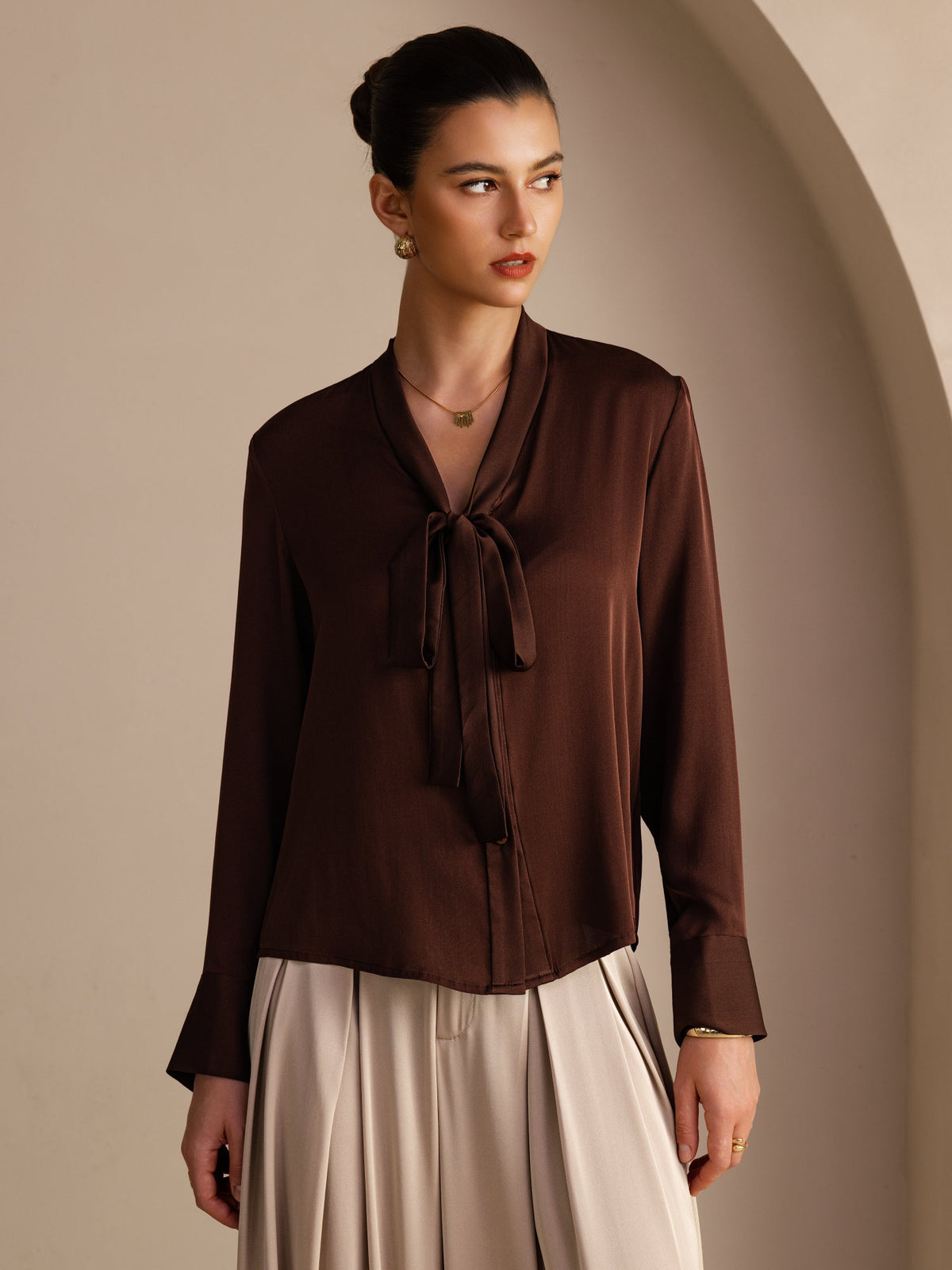 [Dunkle Schokolade] SilkSilky-DE Long Sleeve Tie Neck Damenblusen 001