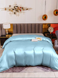 SilkSilky DE 19Momme Reine Seide Duvet Cover Hellblau 003