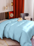 SilkSilky DE 19Momme Reine Seide Duvet Cover Hellblau 002