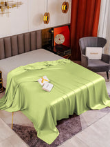 [Mintgrün] SilkSilky-DE 19Momme Spannbettlaken 001