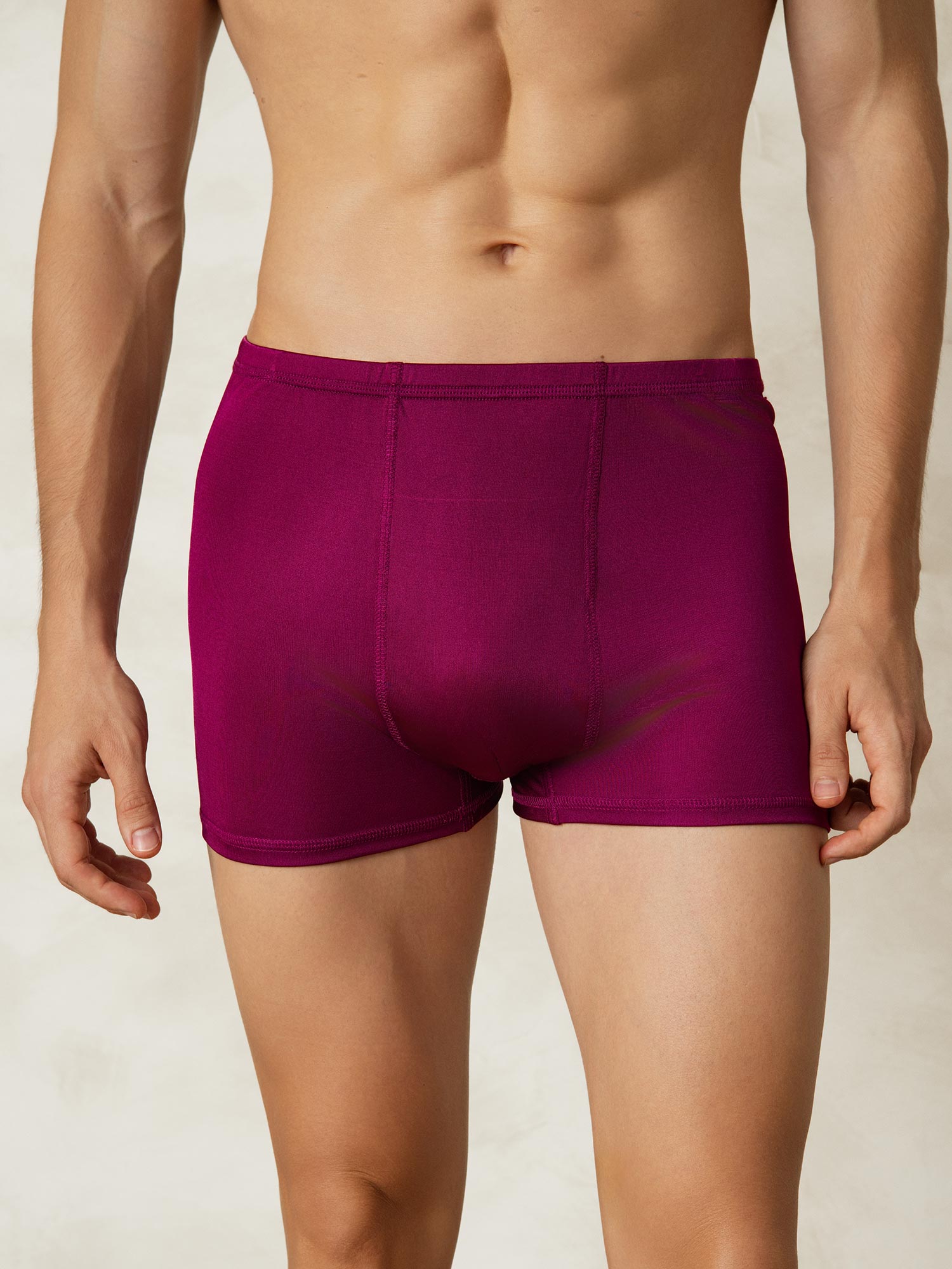 [Rotwein] SilkSilky-DE Seidenstrick Mens Underwear 001