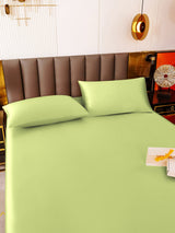 [Mintgrün] SilkSilky-DE 19Momme Bettwäsche Sets 005