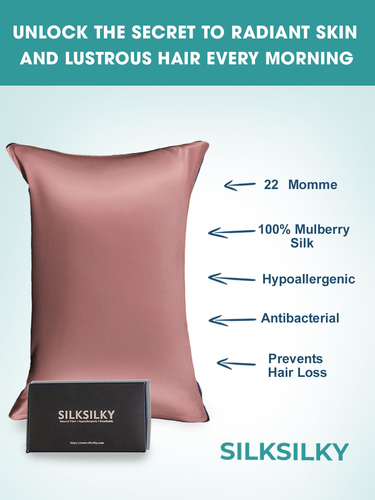 [Blasses Mauve] SilkSilky-DE 22Momme Reine Seide Pillowcase 003