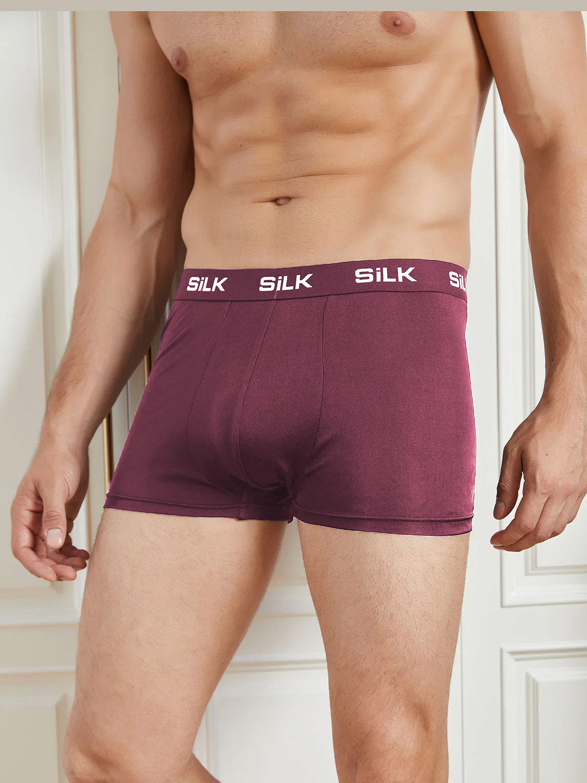 [Rotwein] SilkSilky-DE Reine Seide Mens Underwear 001