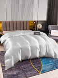 SilkSilky DE 22Momme Reine Seide Duvet Cover Silber 003