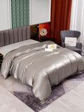 SilkSilky DE 25Momme Reine Seide Duvet Cover Grau 002