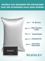 [Silber] SilkSilky-DE 19Momme Reine Seide Pillowcase 003