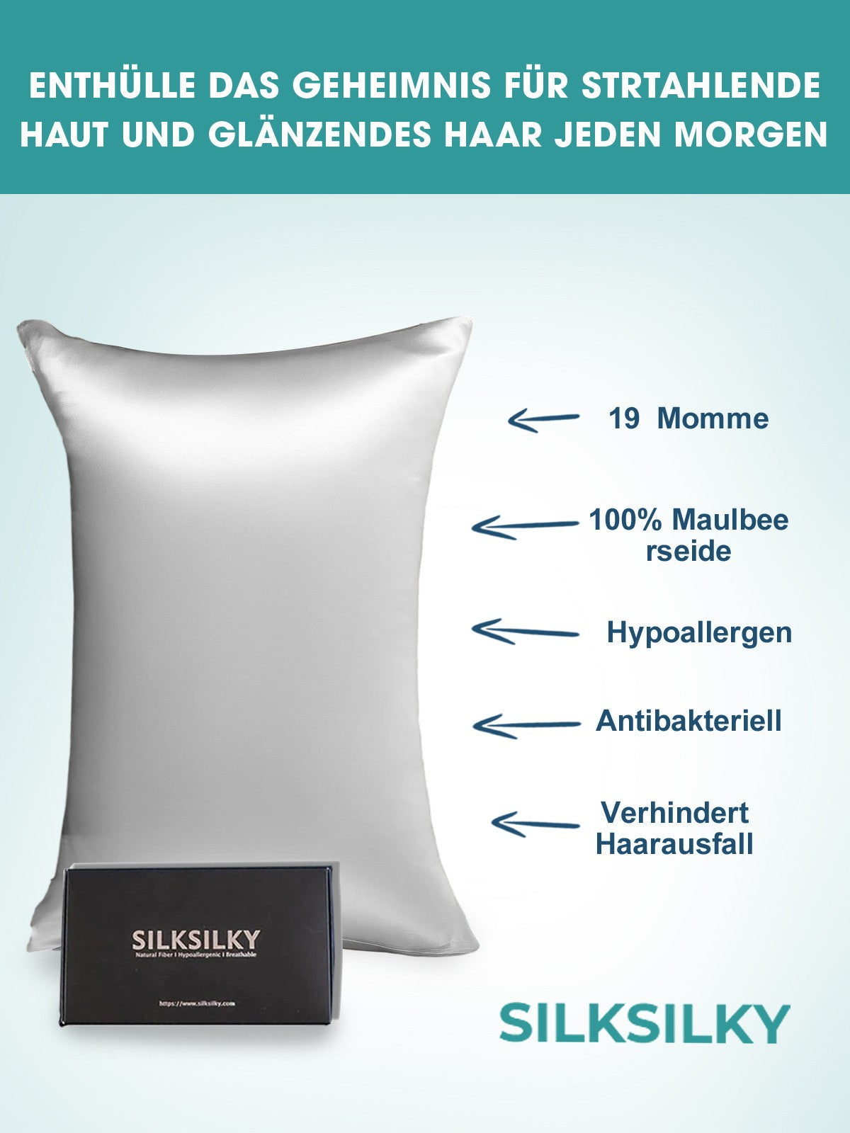 SilkSilky-DE 19Momme Reine Seide Pillowcase Silber 003