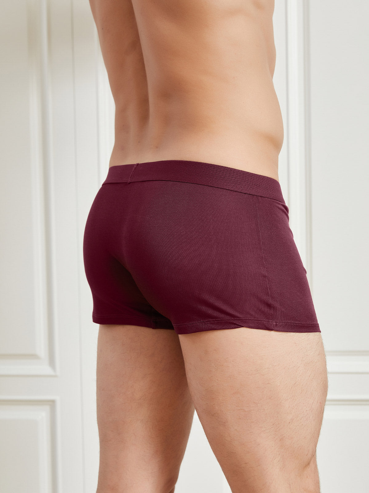 [Wine] SilkSilky Silk Knitted Mens Underwear 002
