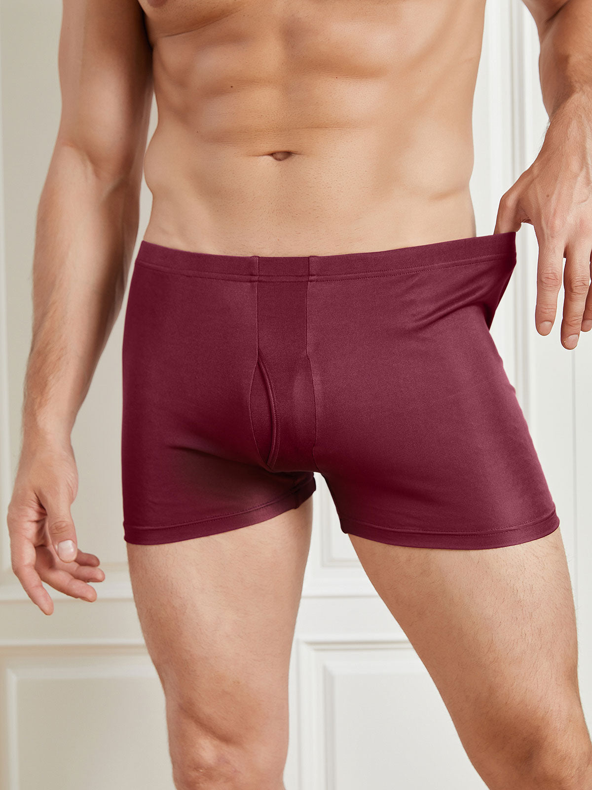 [Wine] SilkSilky Silk Knitted Mens Underwear 004