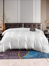 [Silber] SilkSilky-DE 22Momme Duvet Covers 001