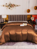 SilkSilky DE 19Momme Reine Seide Duvet Cover Kaffee 002