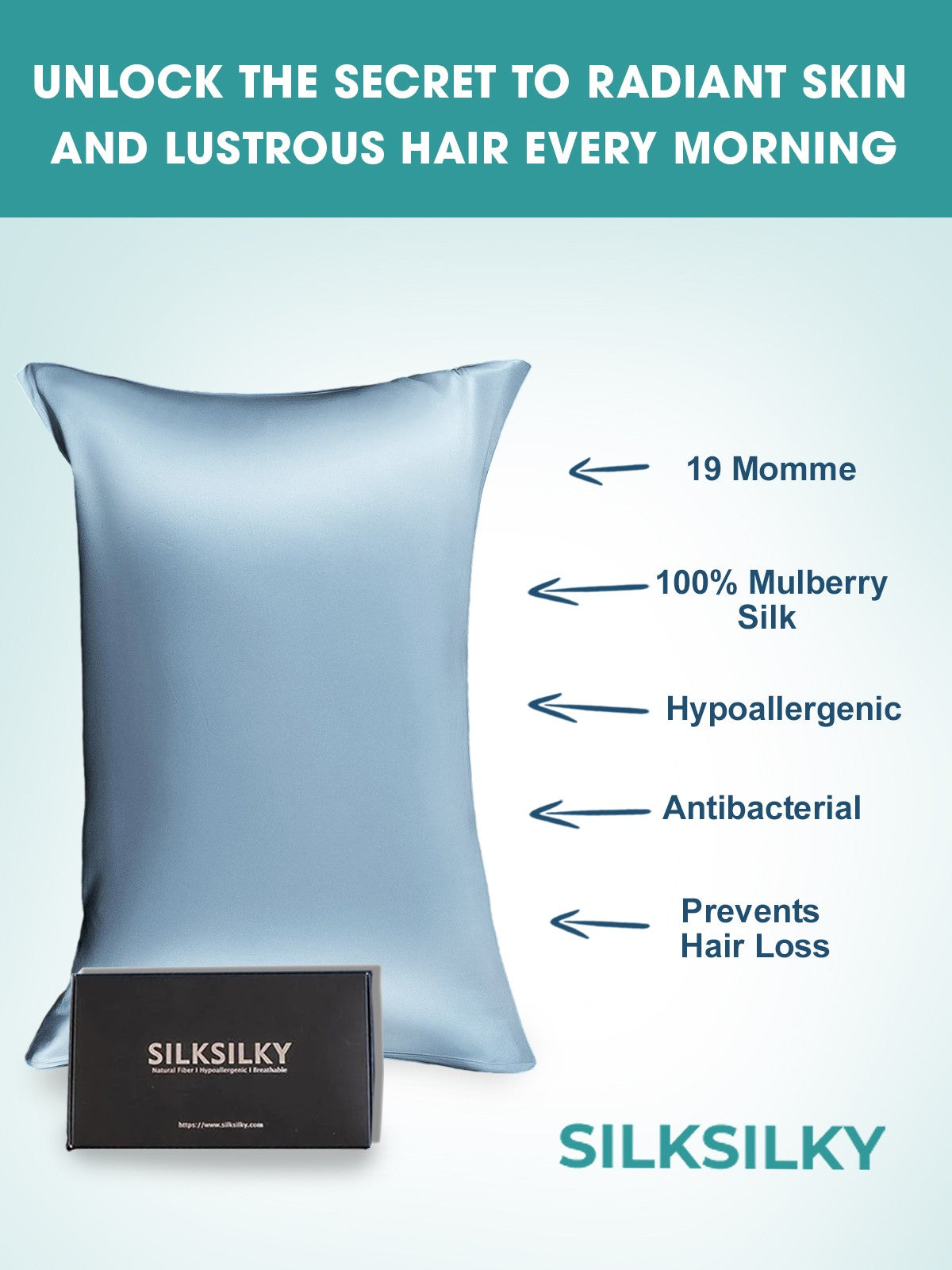 [Hellblau] SilkSilky-DE 19Momme Reine Seide Pillowcase 002