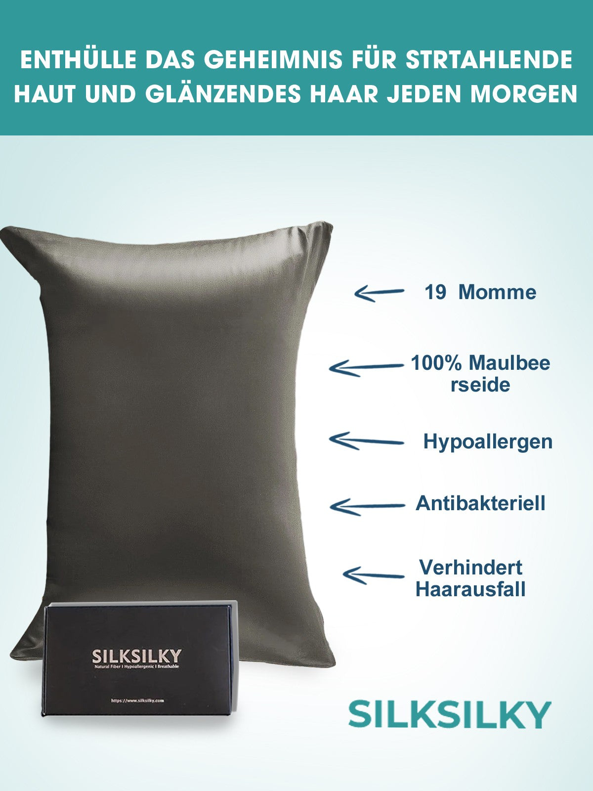 SilkSilky-DE 19Momme Reine Seide Pillowcase Dunkelgrau 003