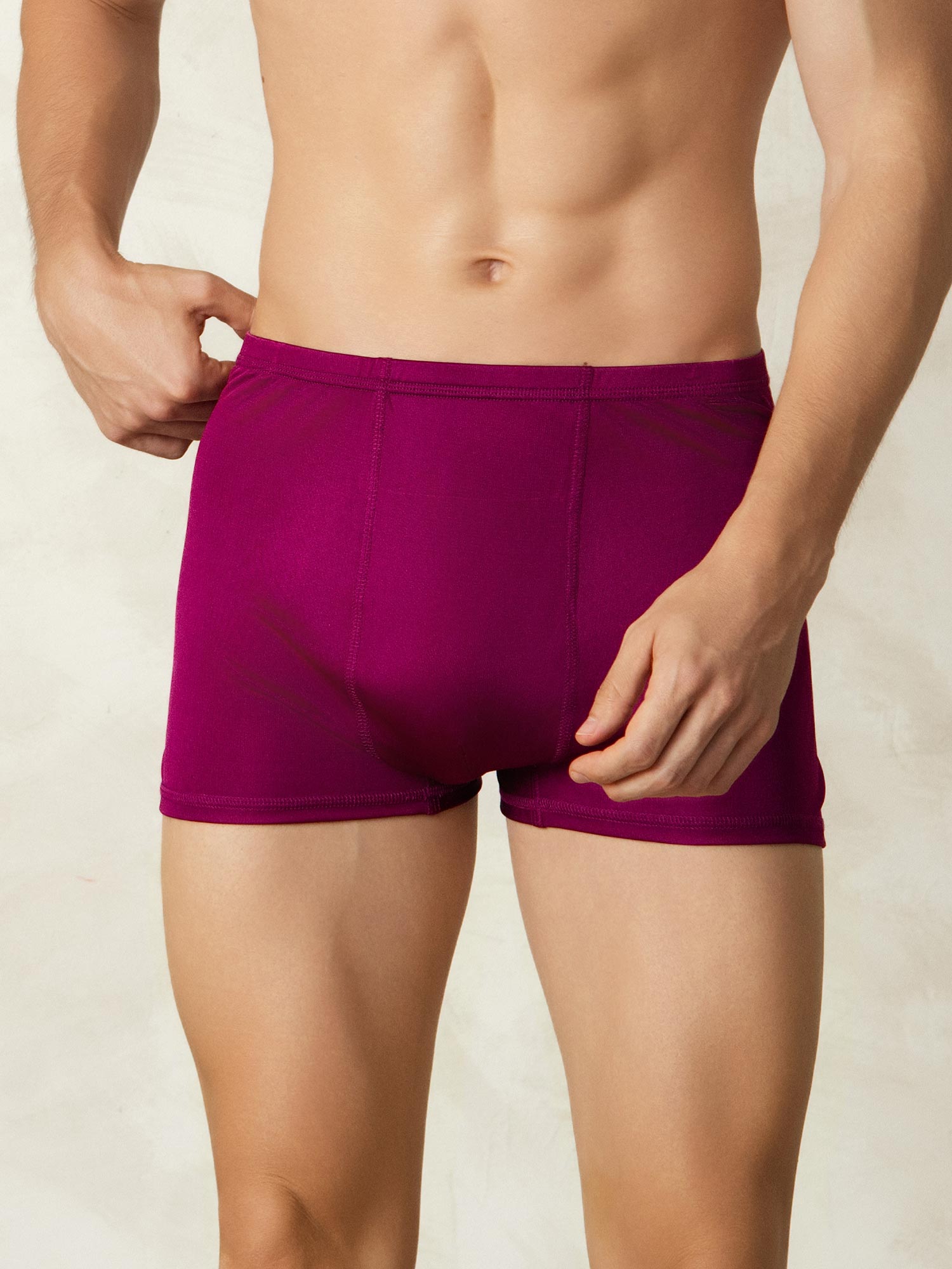 [Rotwein] SilkSilky-DE Seidenstrick Mens Underwear 003
