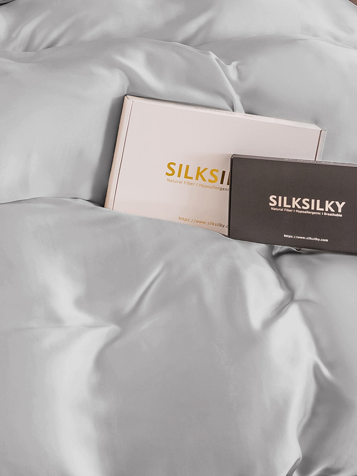 [Silber] SilkSilky-DE 19Momme Reine Seide Duvet Cover 004