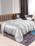 SilkSilky DE 22Momme Reine Seide Duvet Cover Silber 002