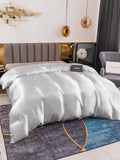 SilkSilky DE 19Momme Reine Seide Duvet Cover Silber 002