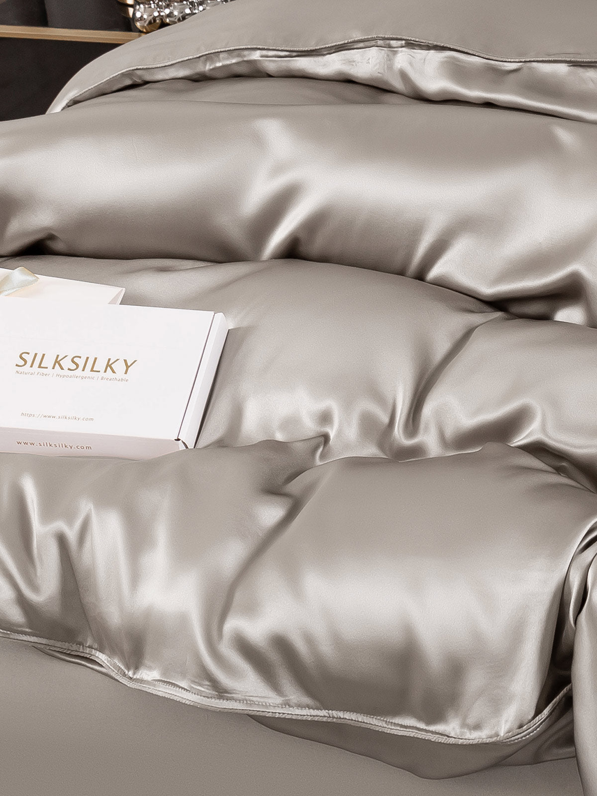[Silber] SilkSilky-DE 19Momme Reine Seide Duvet Cover 010