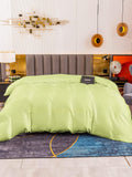 SilkSilky DE 19Momme Reine Seide Duvet Cover Mintgrün 003