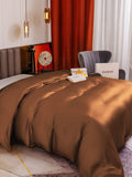 SilkSilky DE 19Momme Reine Seide Duvet Cover Kaffee 004